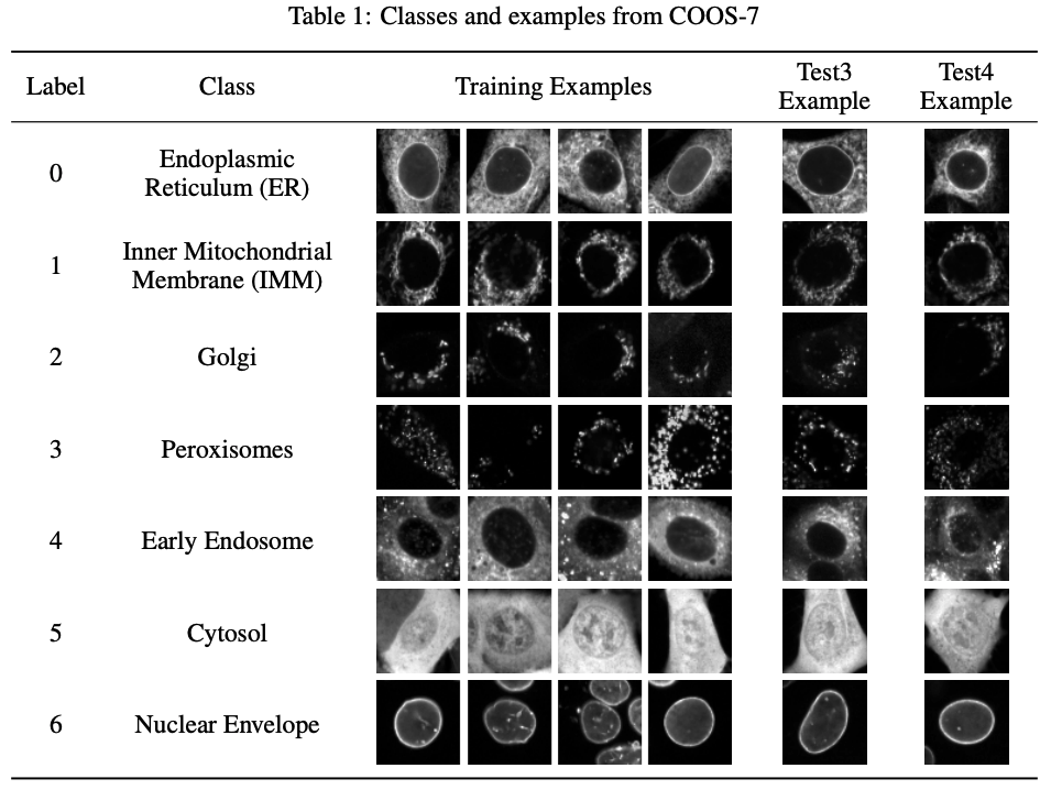 The Cells Out of Sample (COOS) dataset and benchmarks for measuring out-of-sample generalization of image classifiers