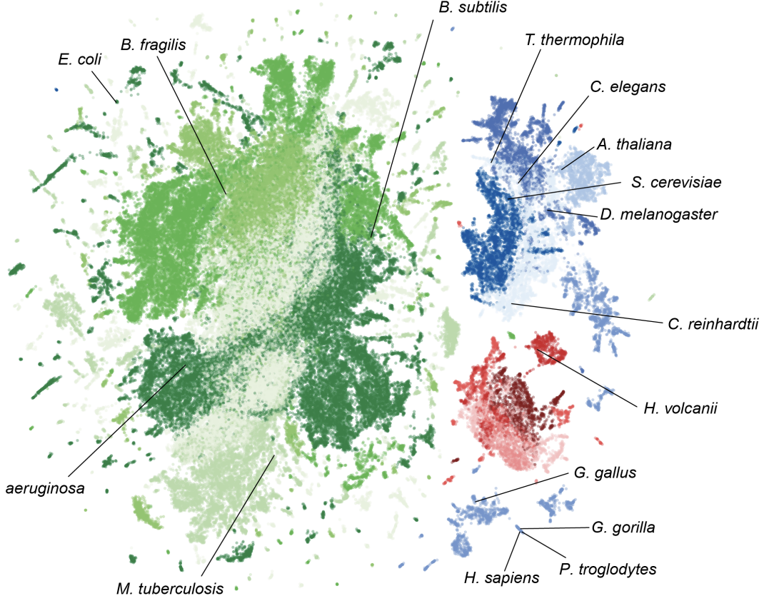 Genome modeling and design across all domains of life with Evo 2