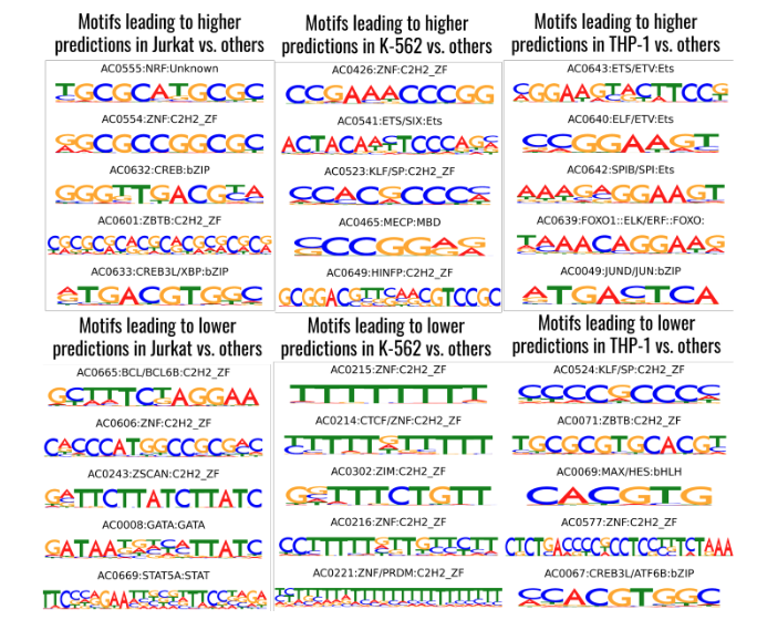 Pretraining strategies for effective promoter-driven gene expression prediction